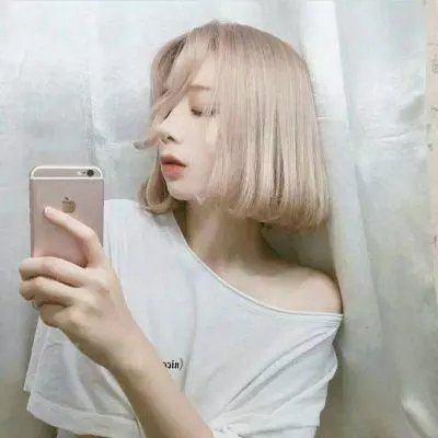 公园路的猫们