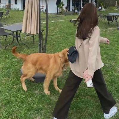 飞常危机